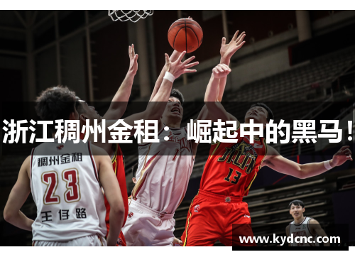 浙江稠州金租:崛起中的黑马! 浙江稠州金租:崛起中的黑马!
