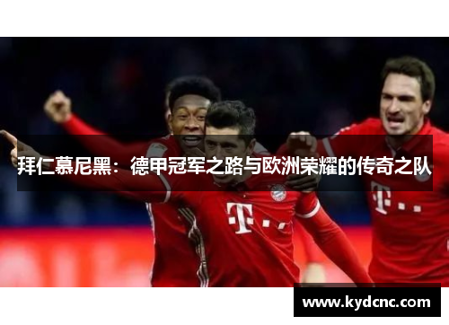 拜仁慕尼黑:德甲冠军之路与欧洲荣耀的传奇之队 拜仁慕尼黑:德甲冠军之路与欧洲荣耀的传奇之队